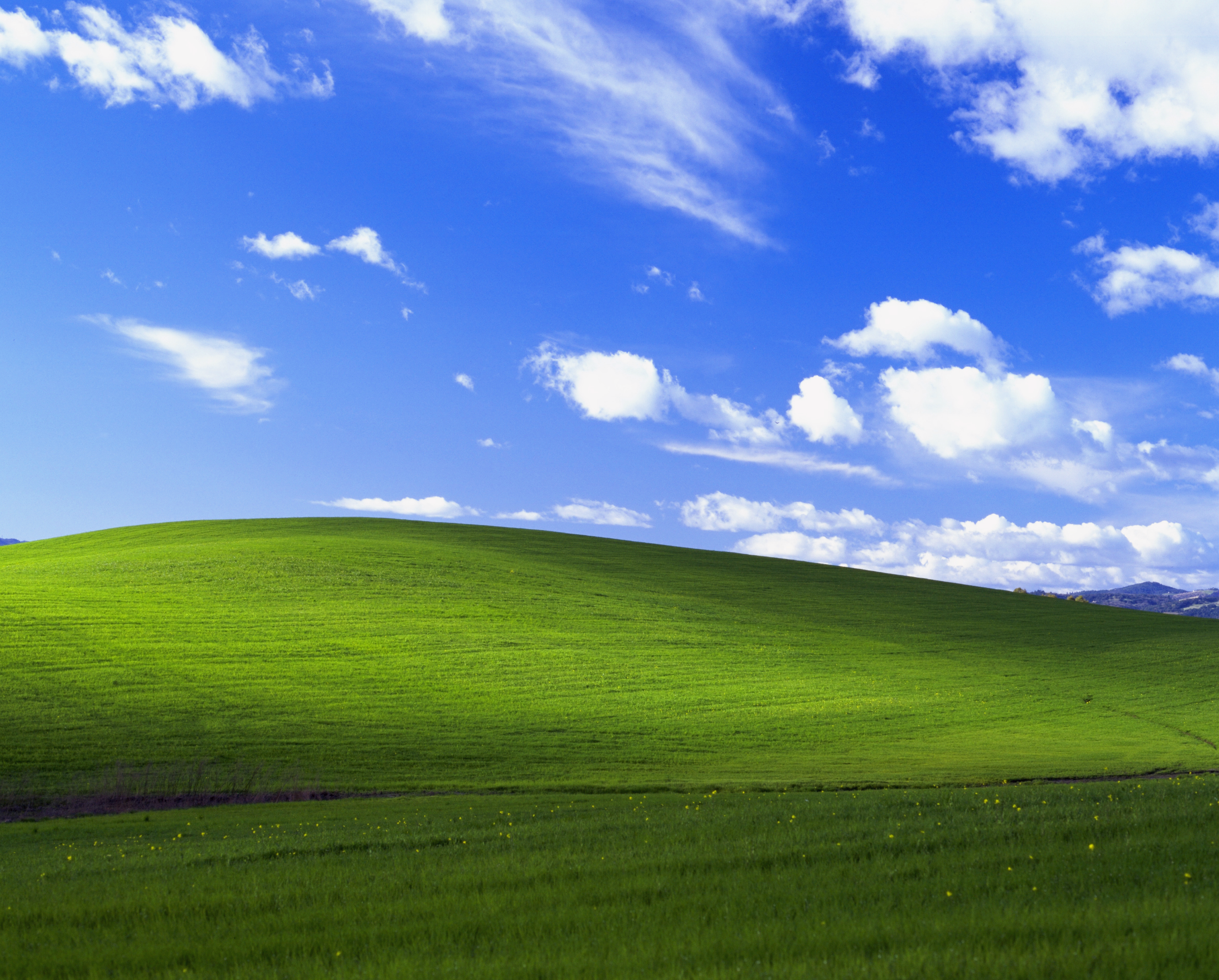 Bliss, Windows XP (2001)